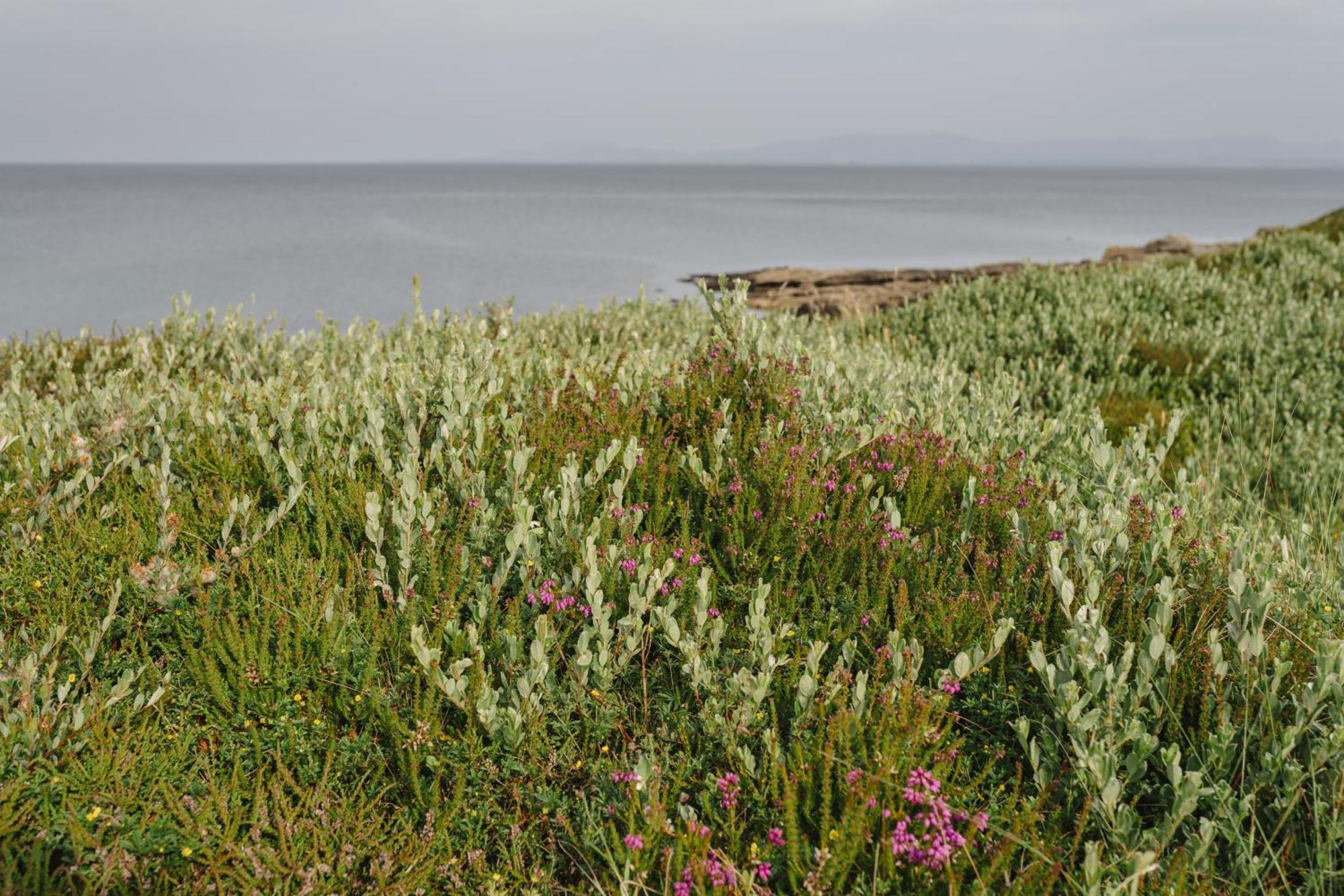 Creevy Cottages Rossnowlagh Extérieur photo