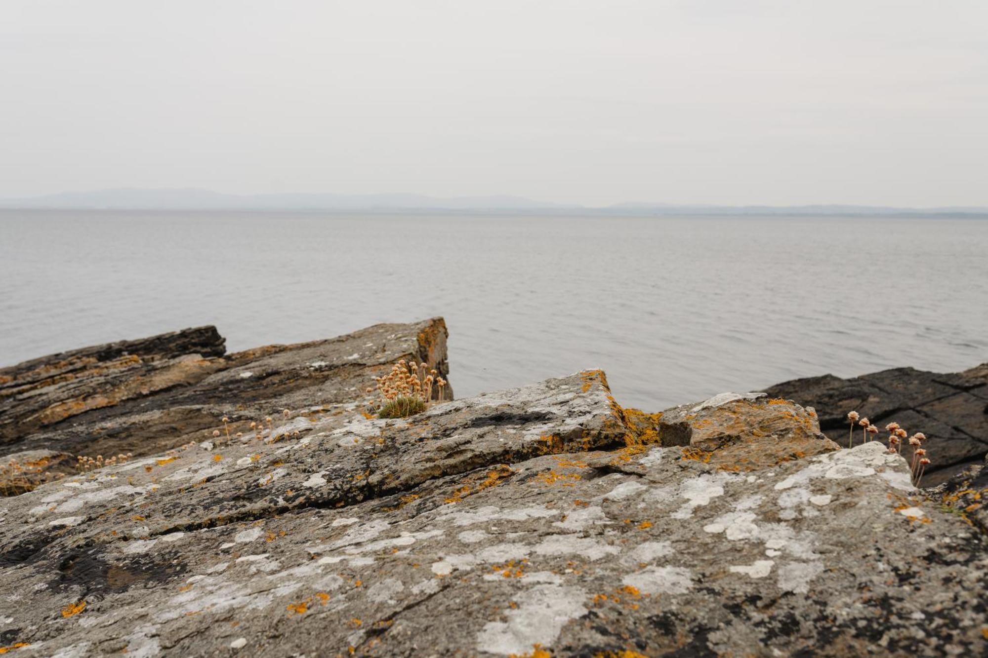 Creevy Cottages Rossnowlagh Extérieur photo